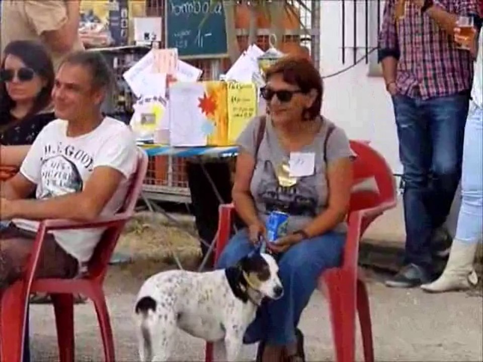 Tag des Hundes 2014, Pago del Humo