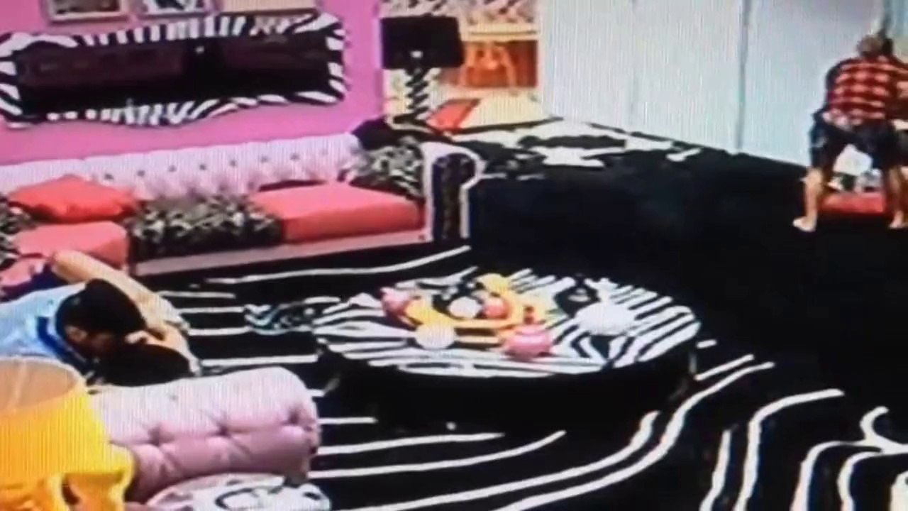 Clarinha implicando com a Van