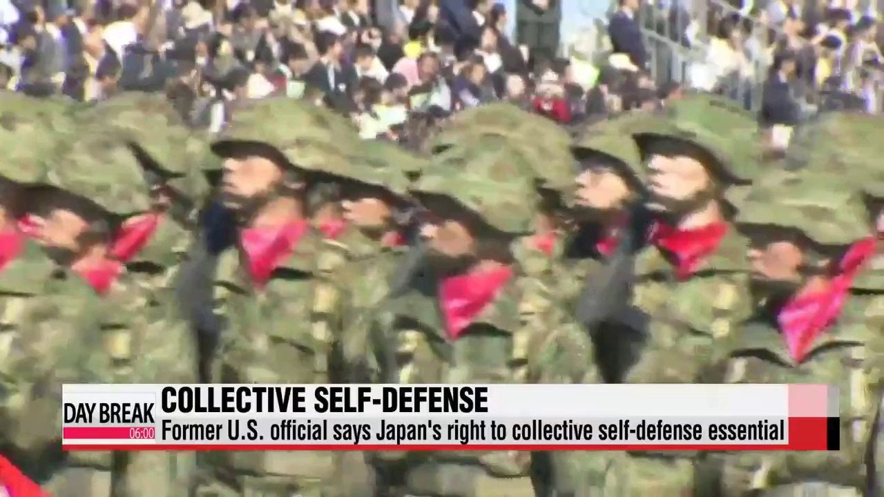 Former U.S. official endorses Japan's right to collective self-defense