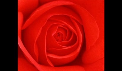 Pathero Sathi Namo Go Pathey Aaj - Sabina Yasmin & Shyamol Mitro.