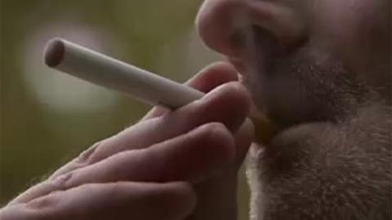 Electronic cigarette ban in Australian states