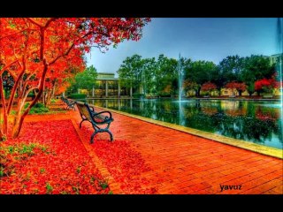 FATİH KISAPARMAK-PORTAKAL ÇİÇEĞİ