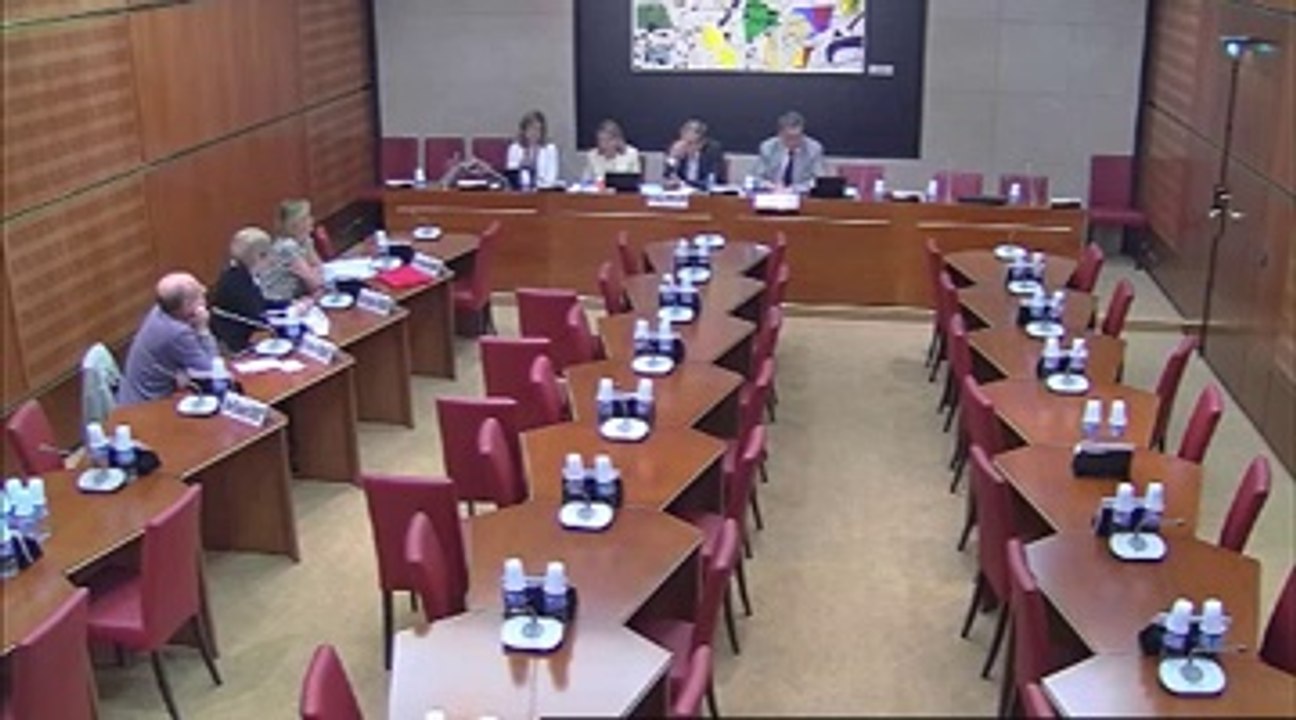 Audition Syndicat National des Professionnels Infirmiers - Jeudi 4 Juillet 2013