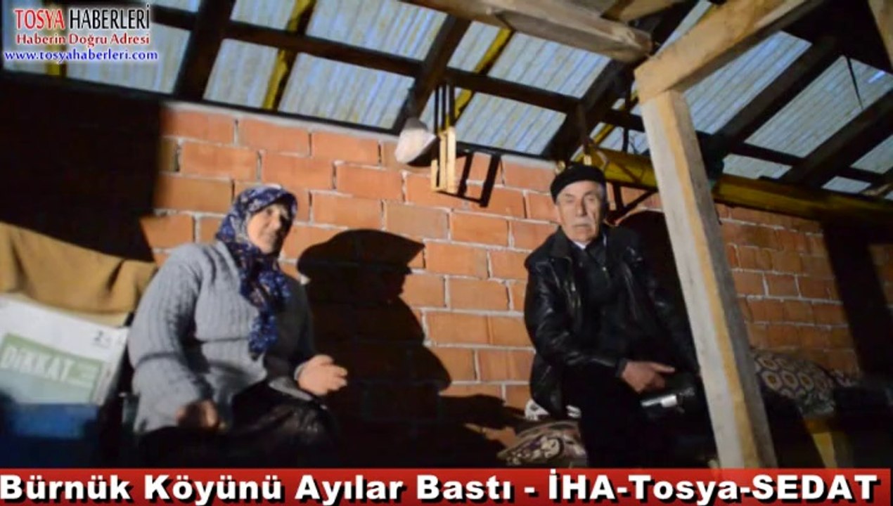 Tosya-Bürnük Köyünü Ayılar Bastı