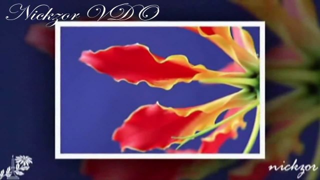 Ferhat Göçer - Doymadım Sana