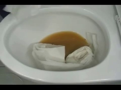 Méthode de dingue pour déboucher des toilettes!