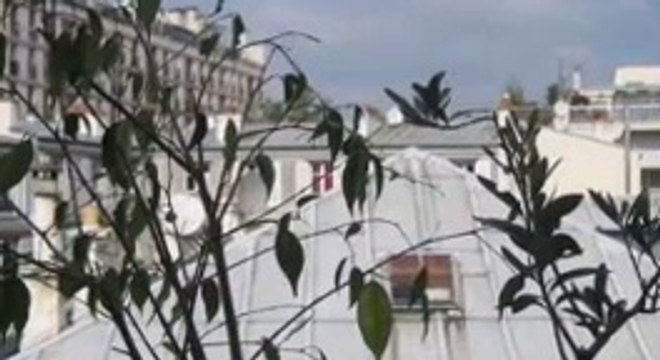 Appartement à Paris, location saisonnière, Ile-de-France