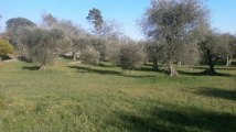 A vendre - terrain - St Cezaire Sur Siagne (06530)