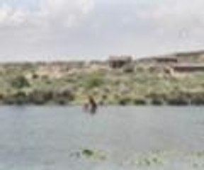 Issız adanın ıssız sakinleri