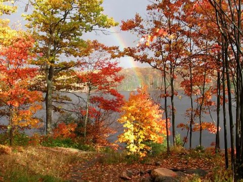 Halil ALTINGÖZ-NE ÇEMEN NE SAYE-İ GÜL