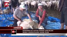 Bandırma'da Koyun Kırkma Şenlikleri Renkli Görüntülere Sahne Oldu