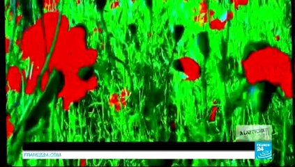 CULTURE - Zoé Bruneau : "En attendant Godard"