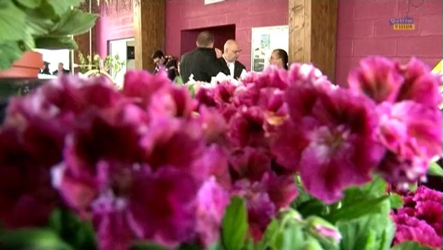 marché de printemps fleuri