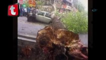 İran'ı kum fırtınası vurdu 5 ölü 30 yaralı