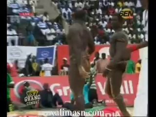 Grand combat avec Ama et Malick Niang  2