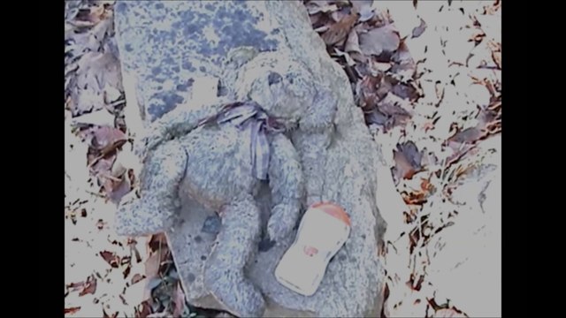 Mystery at Blackstock Cemetery - Gallo Family Ghost Hunters - Episode 34