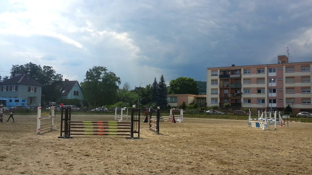 Ody - CSO Molsheim Pépa 90cm