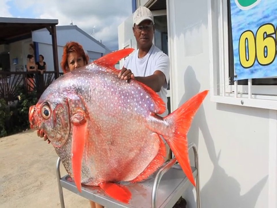 Émission n° 3 - Fête du tourisme 2014 Île de la Réunion