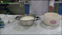Yoğurt Nasıl Yapılır - Organik Yoğurt Nasıl Yapılır