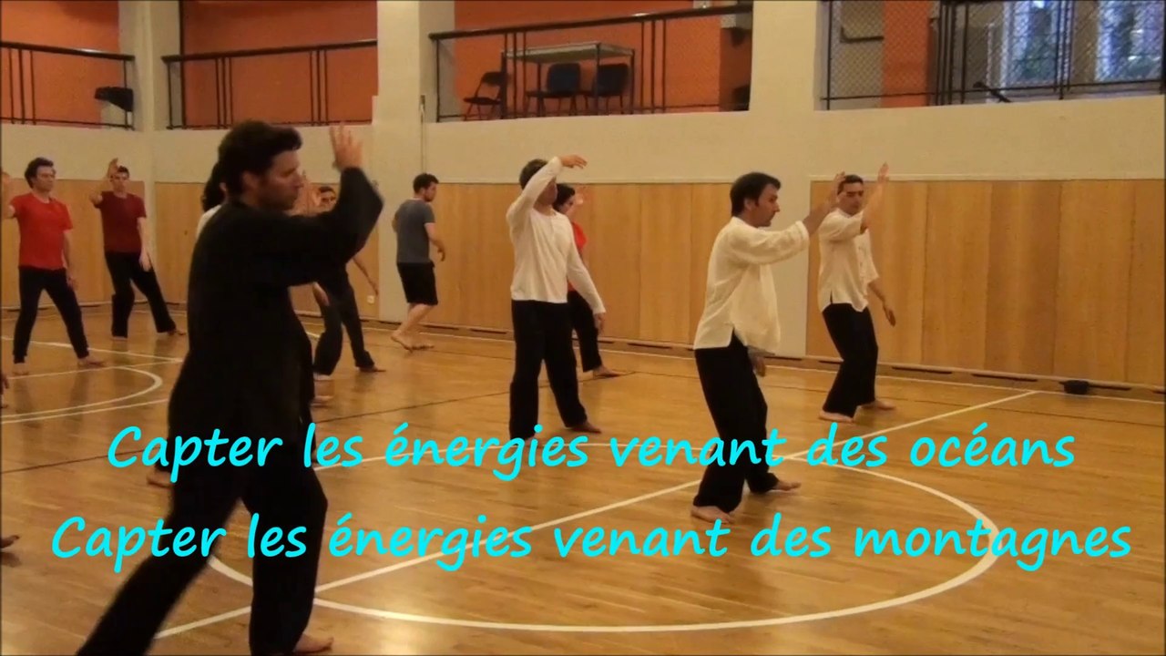 QI-GONG DE L'ECOLE DU TIGRE VOLANT- 01 45 77 30 78