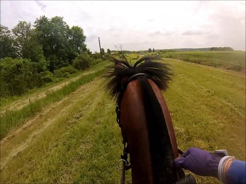 CCE P1 Ballancourt 1/06/14 - LLETTYCRUDD TOMOS