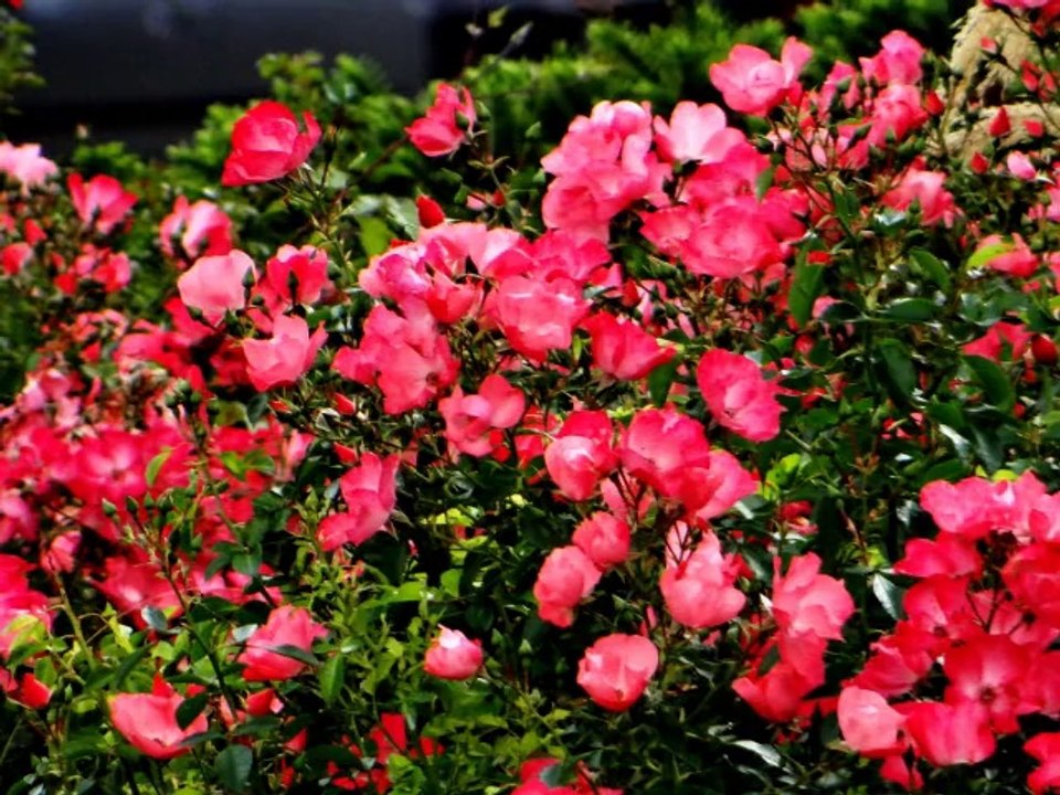 2014-04-25 - From Wellington To Taihape