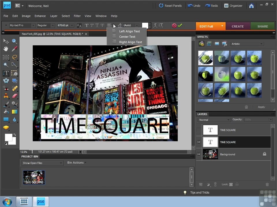 Adobe Photoshop Elements 8 part