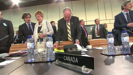 Rússia teria retirado a maioria das tropas da fronteira