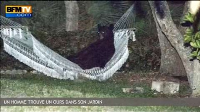 24h en vidéo - 03/06 – Tempête de sable meurtrière en Iran ; un homme trouve un ours dans son jardin