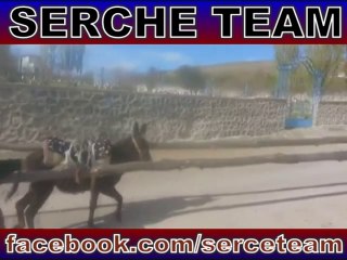 Uzun Eşşeğin İcadı