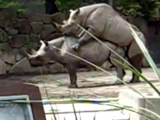 ママあれなにしてるの〜？