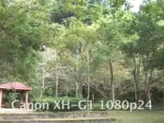 Canon XH-G1 Test 24p