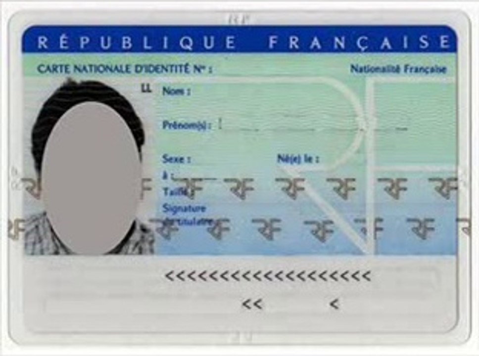 PUCE ET CARTE D'IDENTITE MARC COHEN 2003