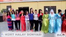 deweta colemêrg ŞÊXANÎ HALAY