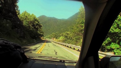 Willow Creek - Exclusive Clip