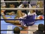 Lennox Lewis vs Shannon Briggs (Highlights)