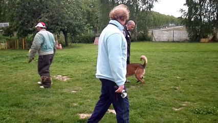 Dacoït du Dragon Rouge de Jupiter - le 03/06/2014