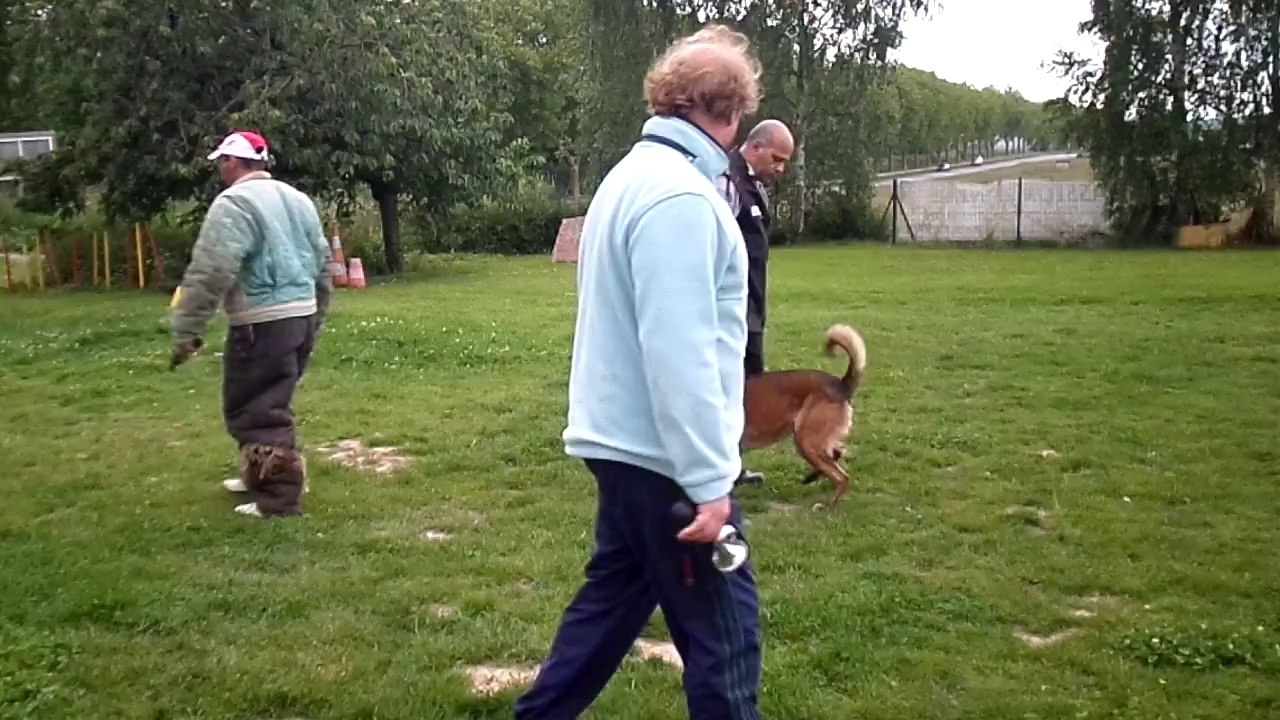 Dacoït du Dragon Rouge de Jupiter - le 03/06/2014