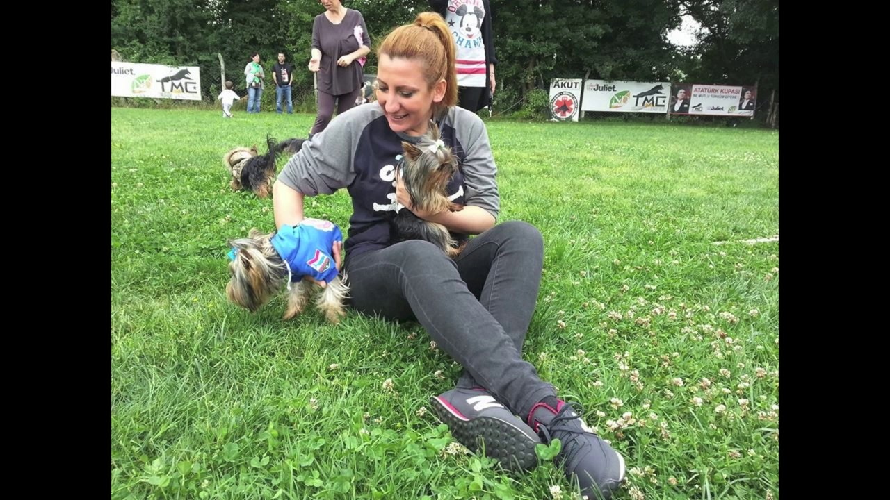 2014 Yorkiefest / 8.Yorkshire Türkiye Festivali