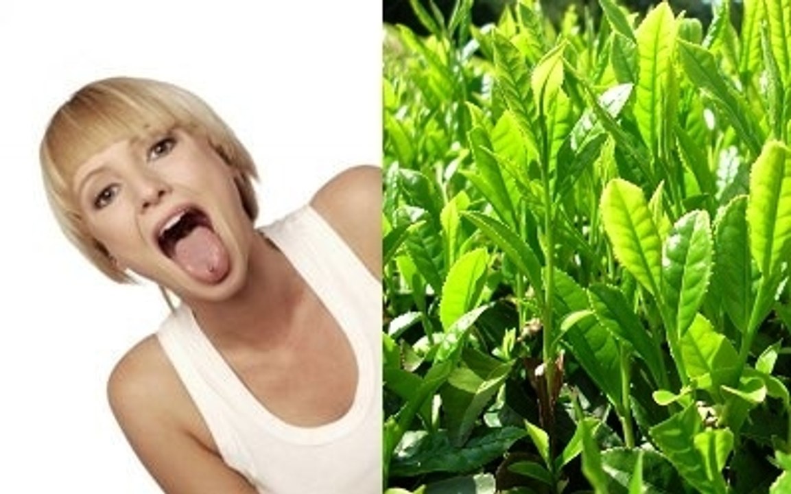STUDY: Coffee, Tea Would Be Toxic If We Lacked Saliva And Smart Cells