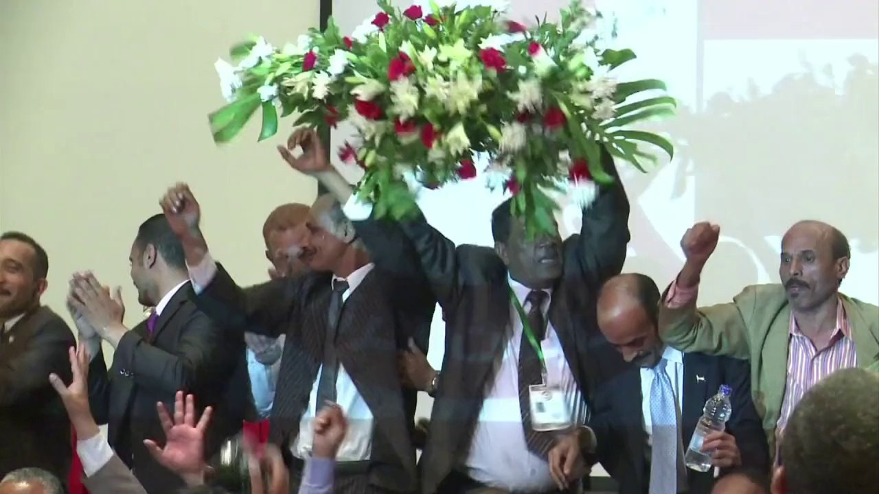 Sisi supporters celebrate presidential victory in Cairo