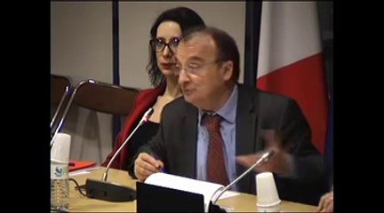 Communication de M. Philip Cordery et M. Michel Piron sur la proposition de directive relative aux qualifications professionnelles  - Mercredi 12 Décembre 2012