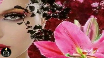 Zeki Müren - Damarımda Kanımsın