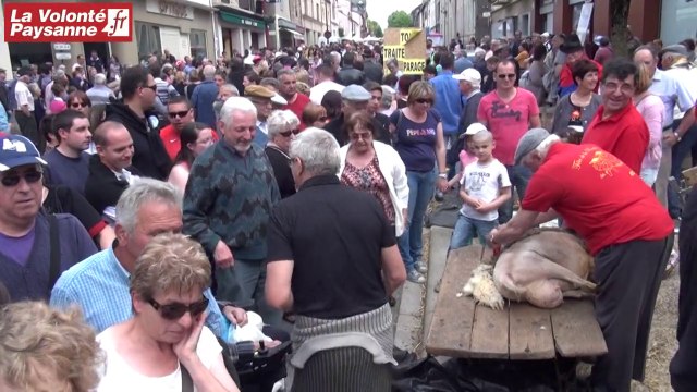 Fête de la brebis (Réquista) : du monde à la tonte