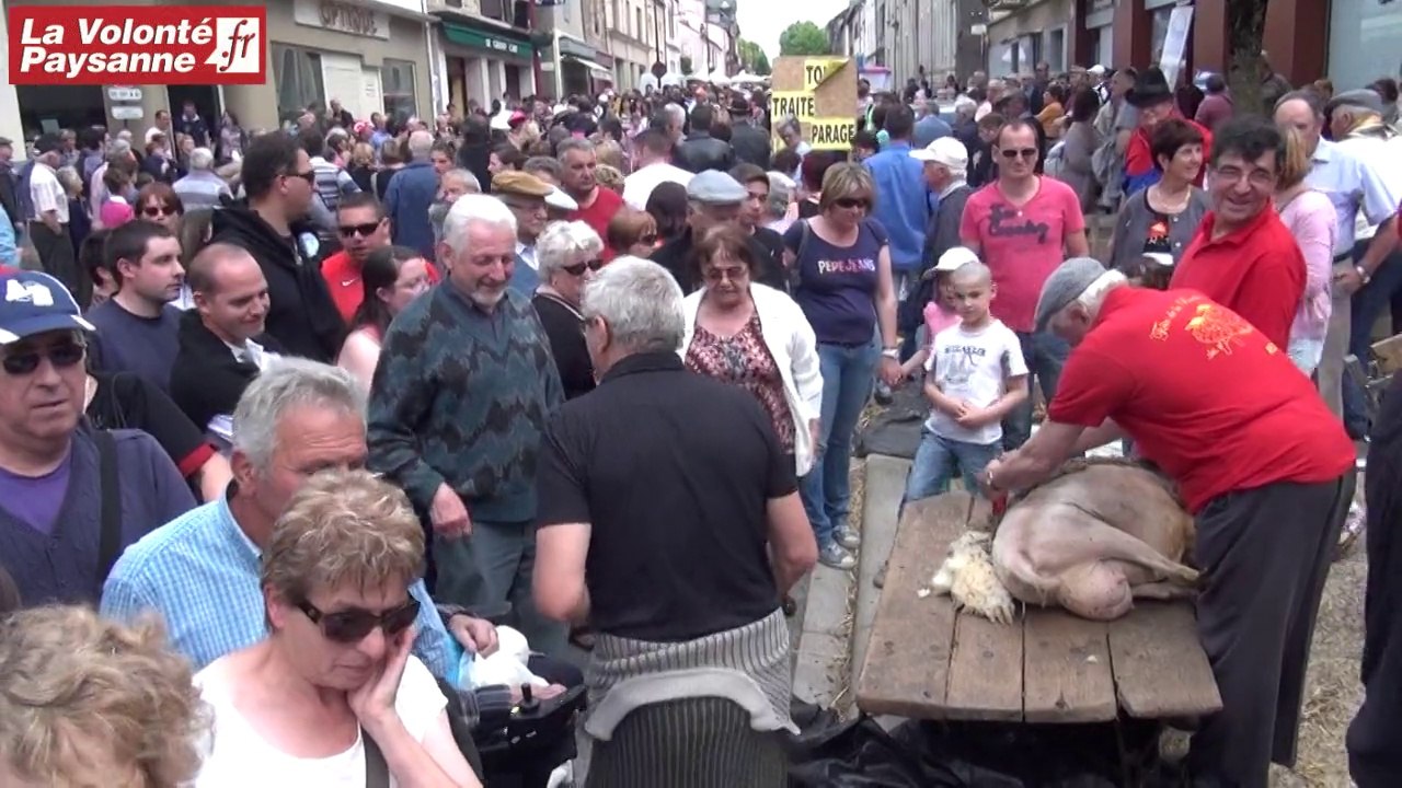 Fête de la brebis (Réquista) : du monde à la tonte
