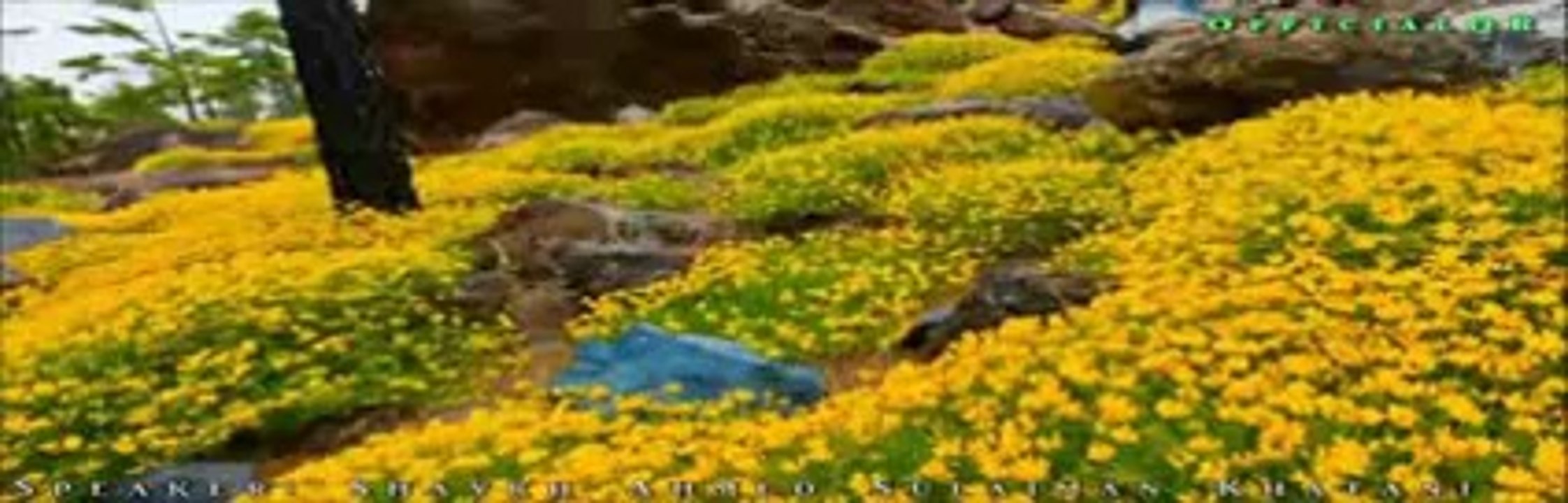 Why Have You Forgotton Your Allah ? by Shaykh Ahmed Sulaiman Khatani