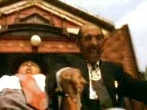 Bande annonce chat noir chat blanc