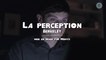La perception – BERKELEY