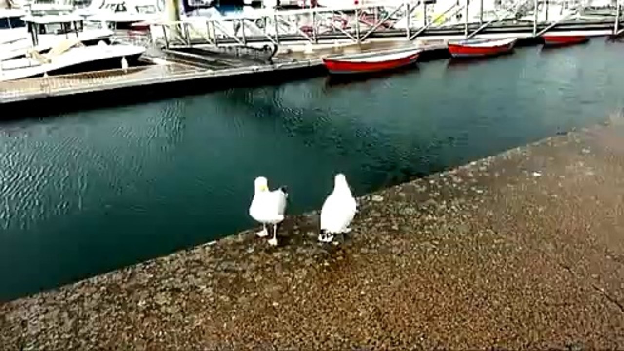 un jour à Saint-Malo