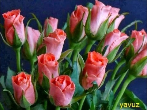 FERDİ ÖZBEĞEN-KADERE ŞİKAYET